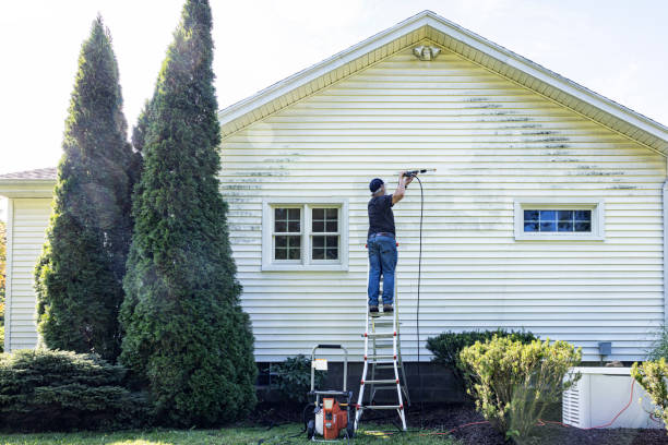 Best House Pressure Washing  in Russellville, AR